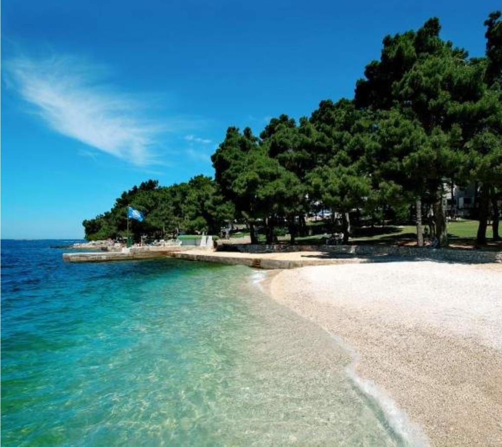 Ferienwohnung New!!! New Riva Luxury One - With Sunny Terrace & Big Garden Poreč Exterior foto